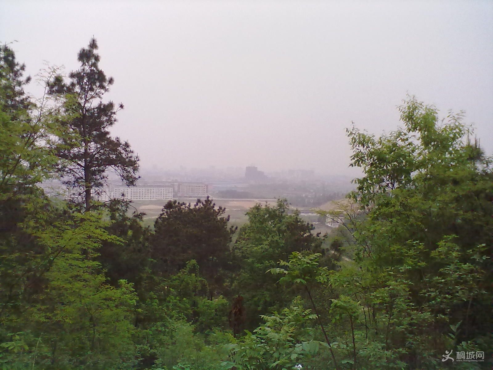 20120418236.jpg