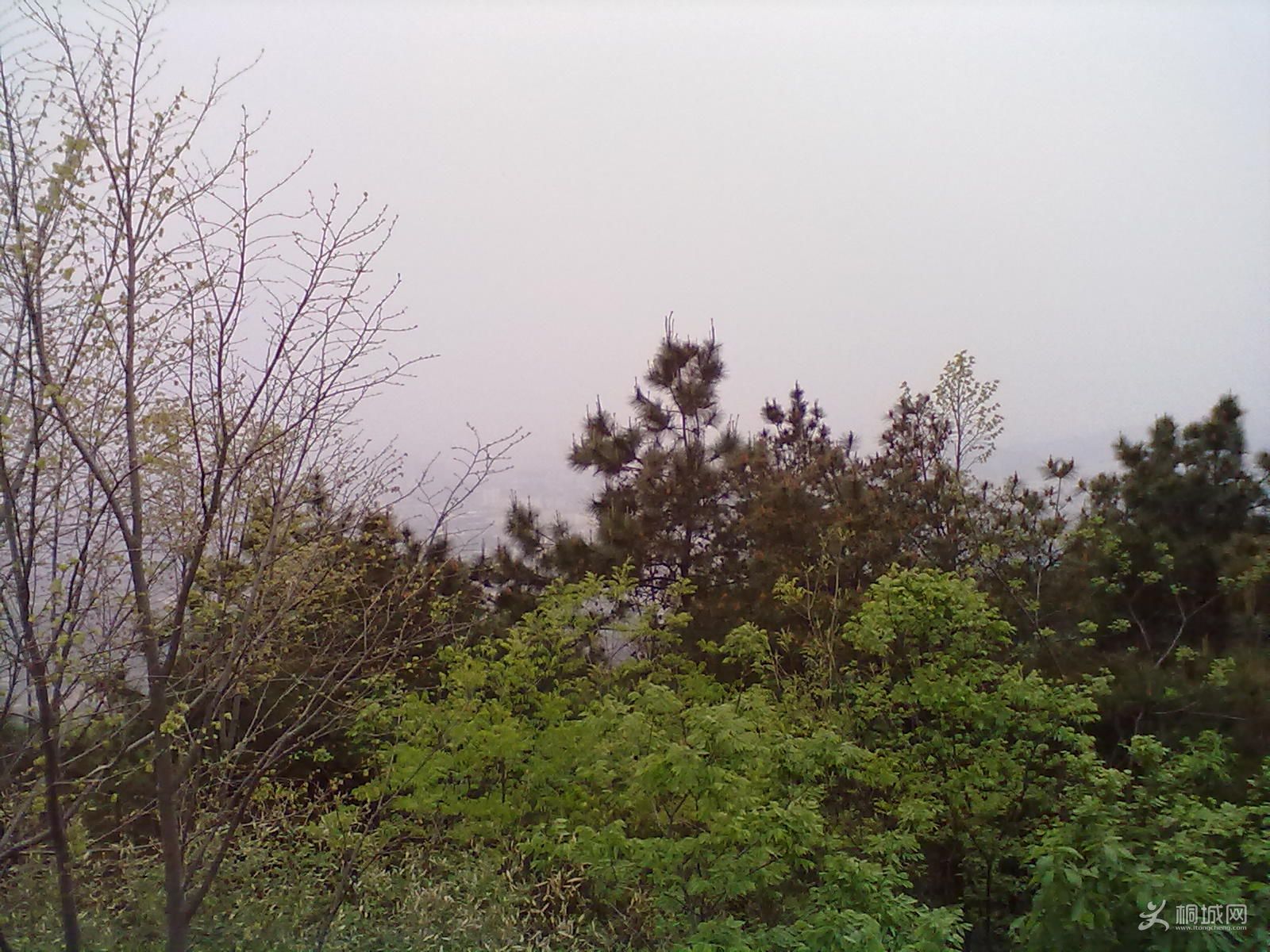 20120418240.jpg