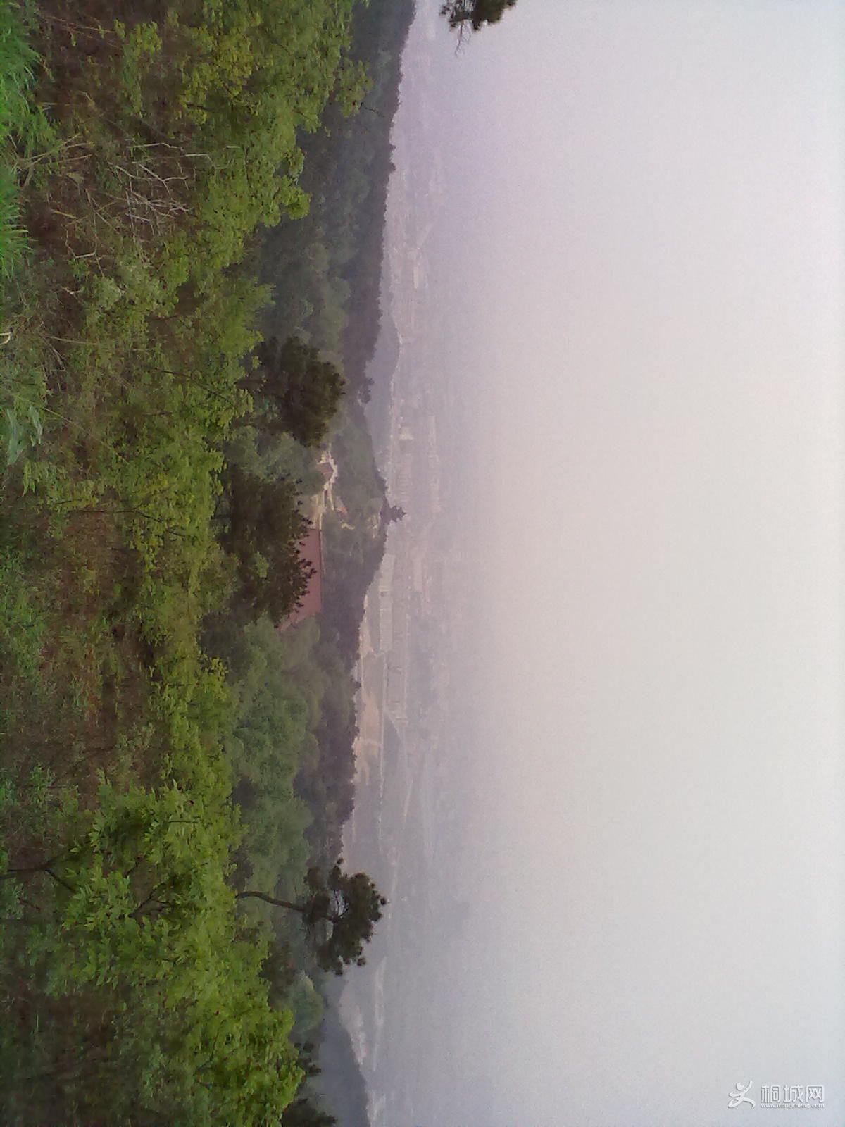 20120418275.jpg