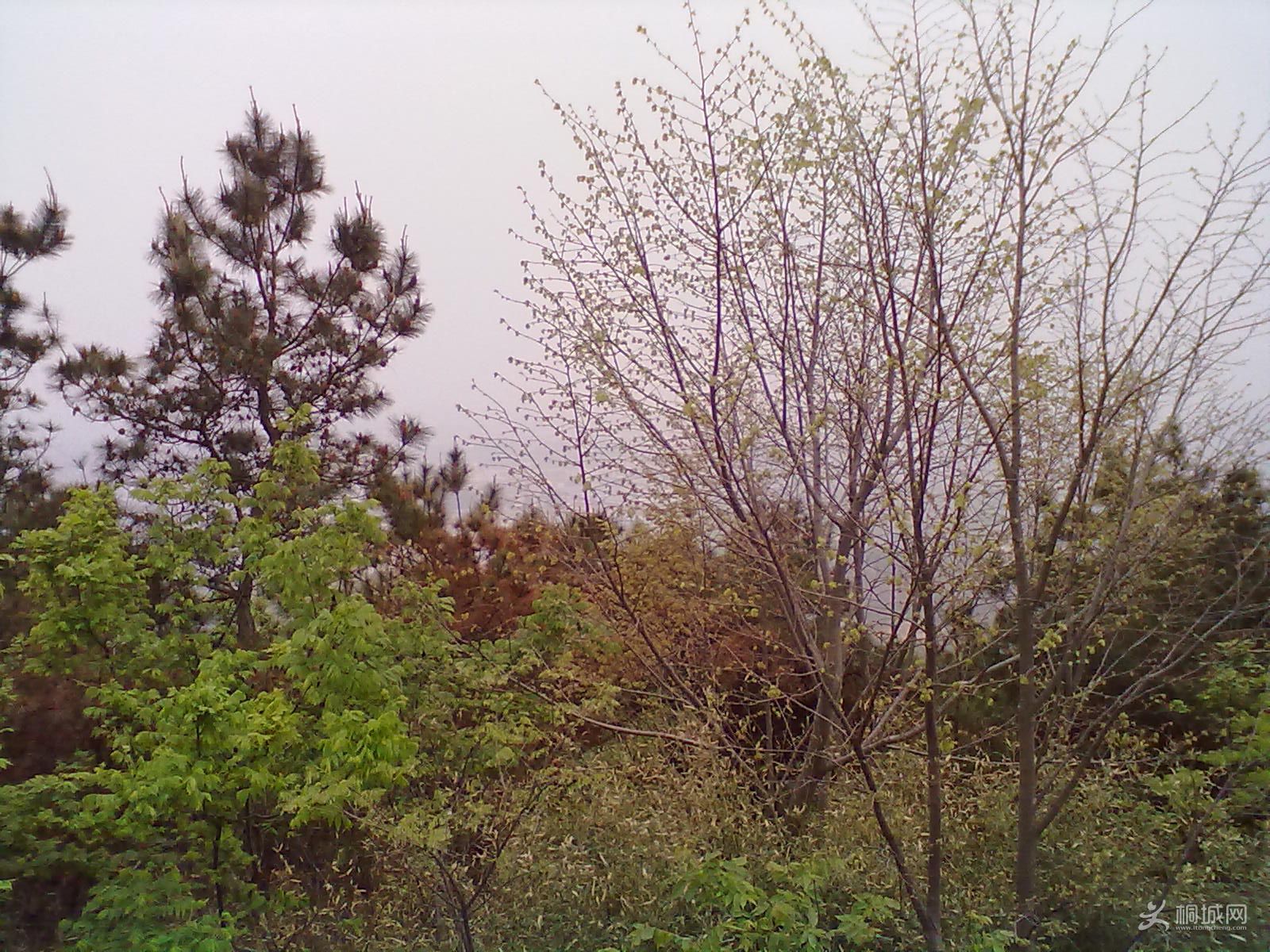 20120418239.jpg