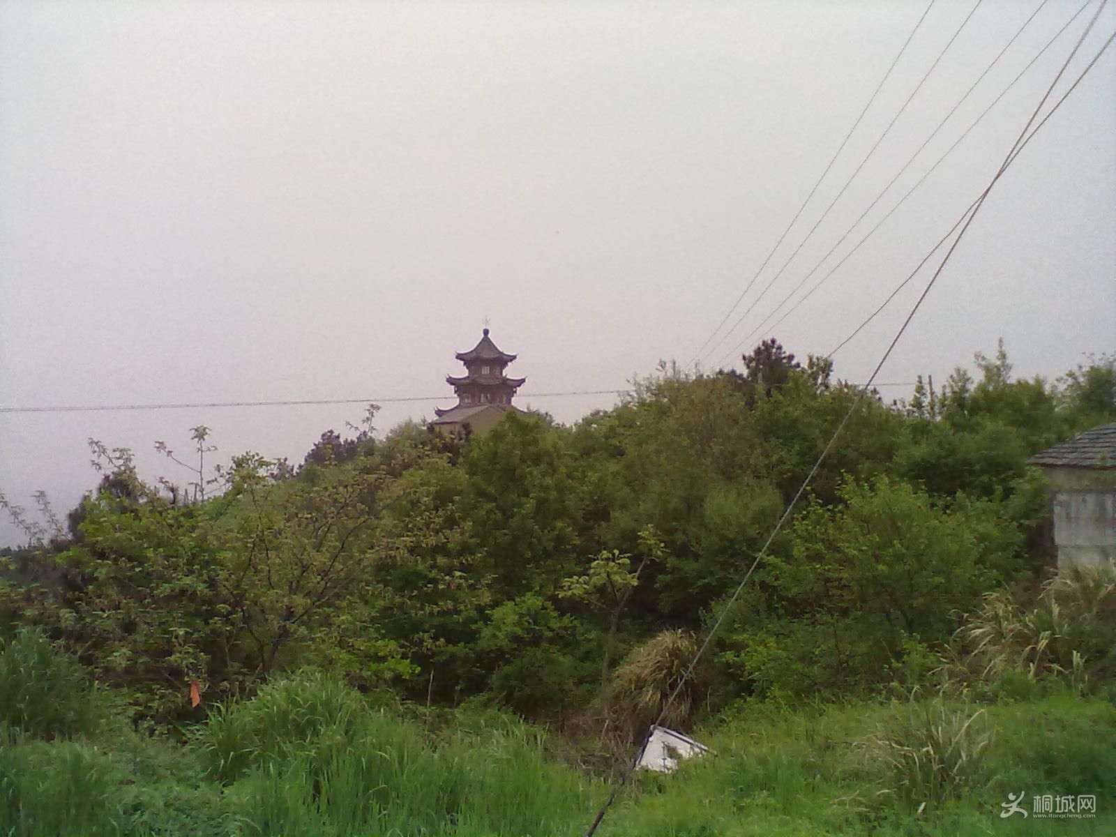 20120418250.jpg