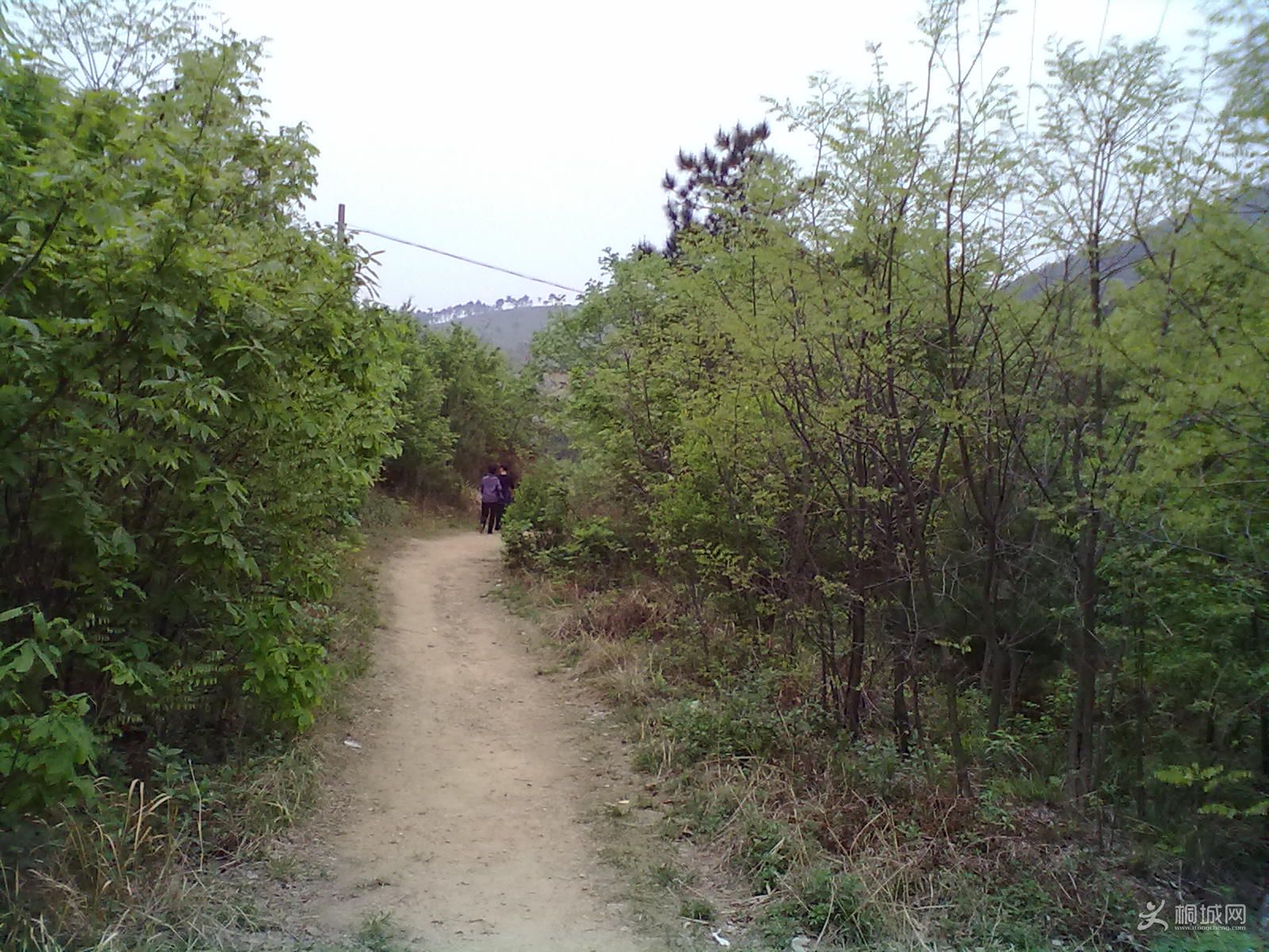 20120418247.jpg