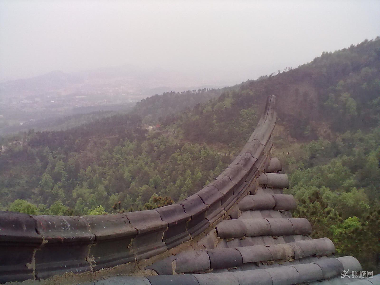 20120418245.jpg