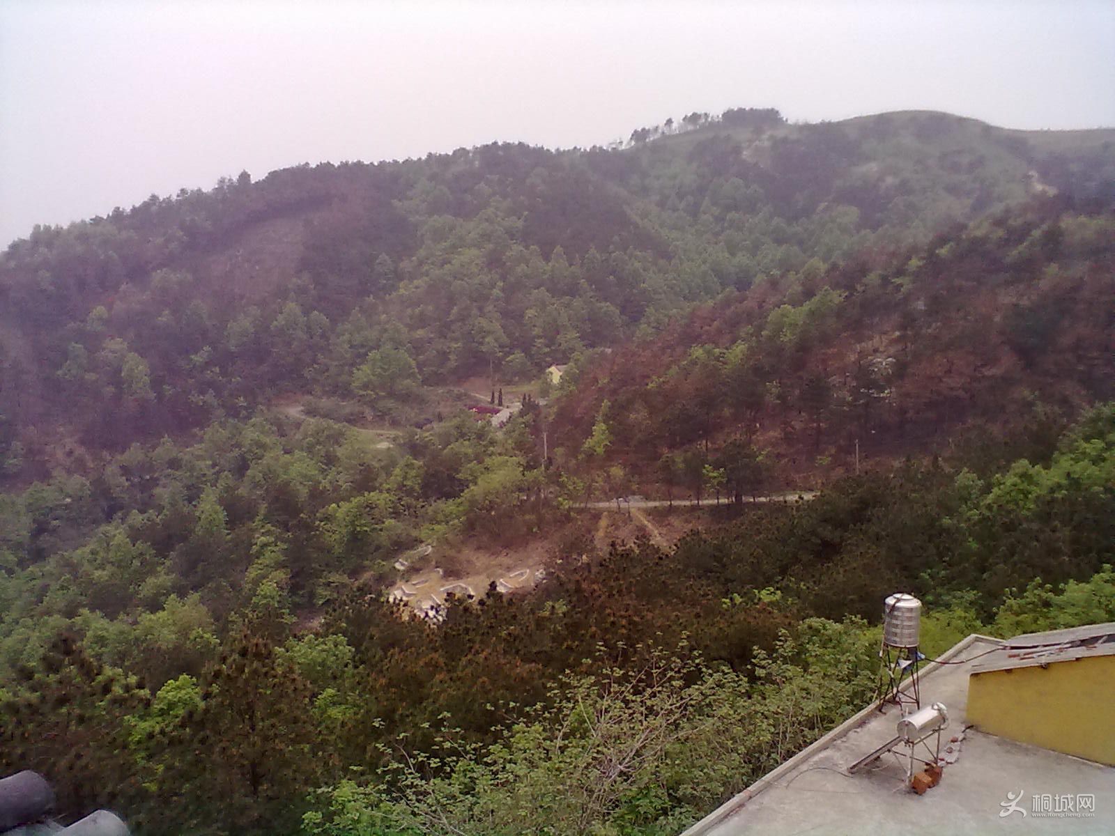 20120418244.jpg