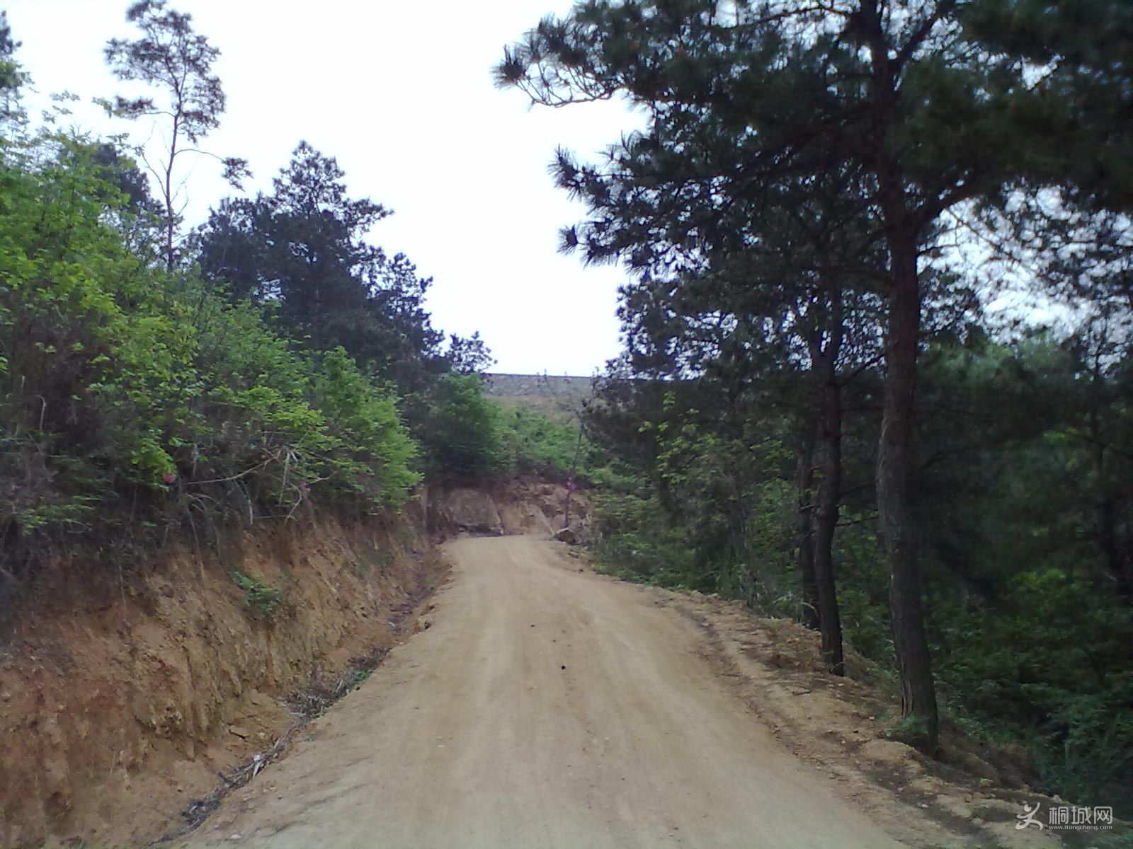 20120418268.jpg