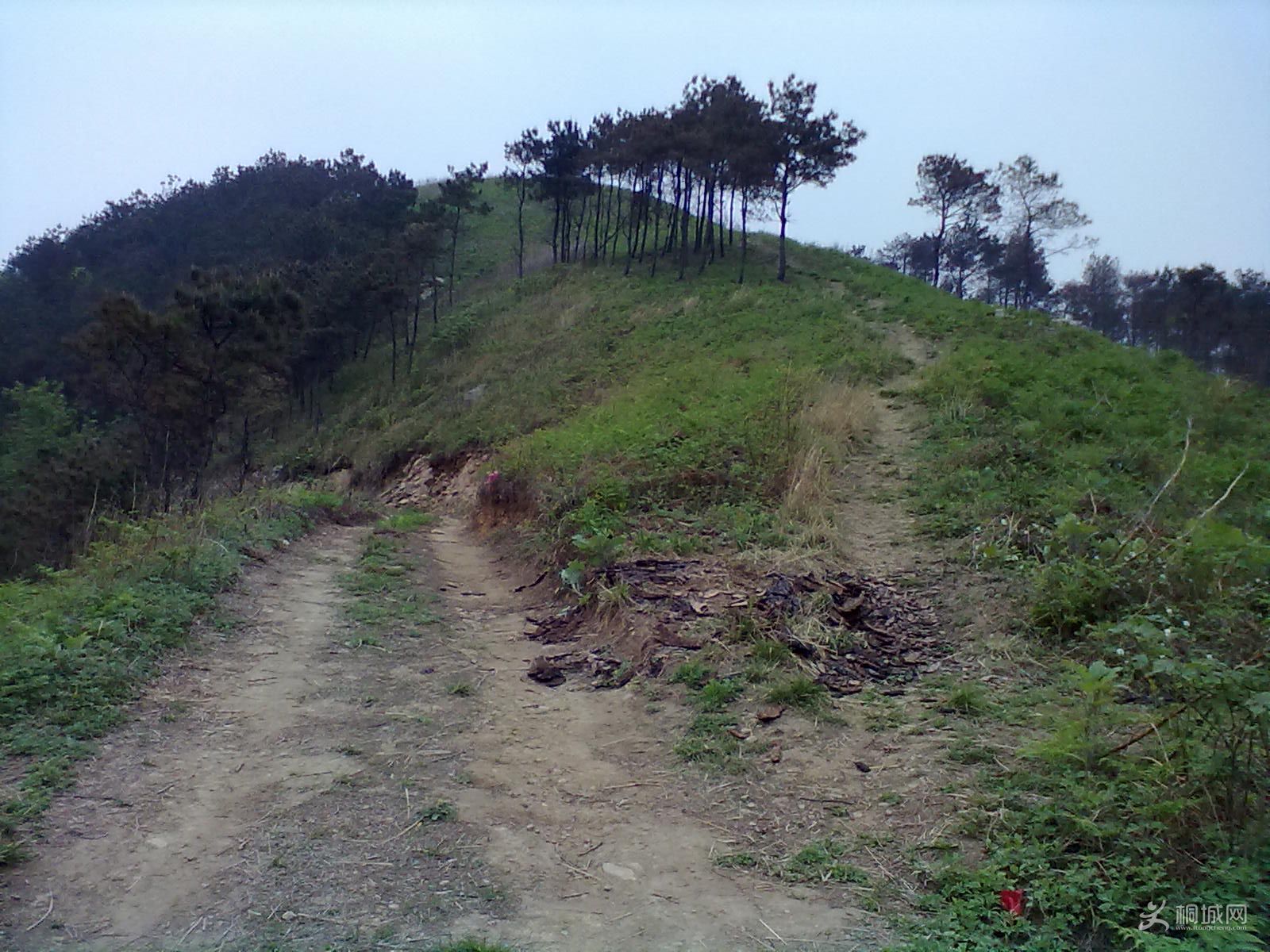 20120418277.jpg