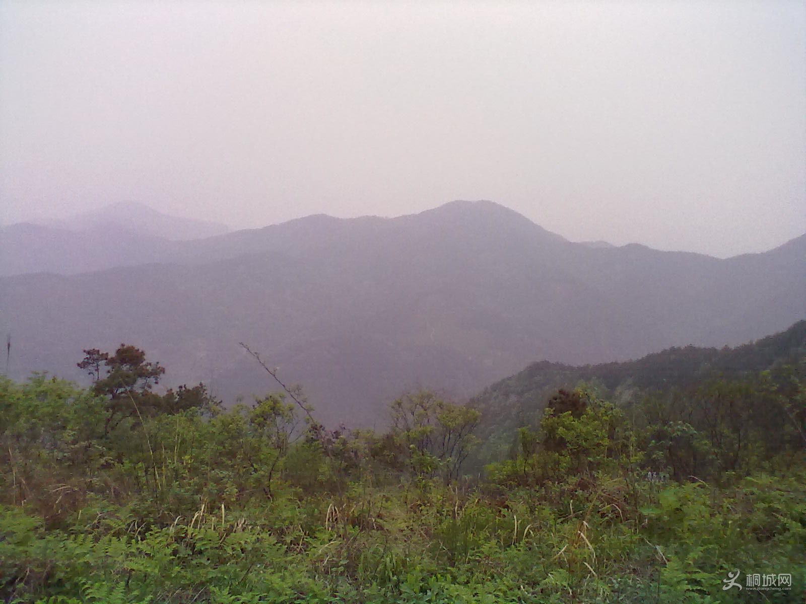 20120418276.jpg