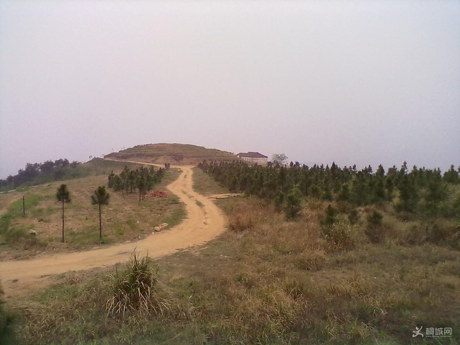 20120418274.jpg