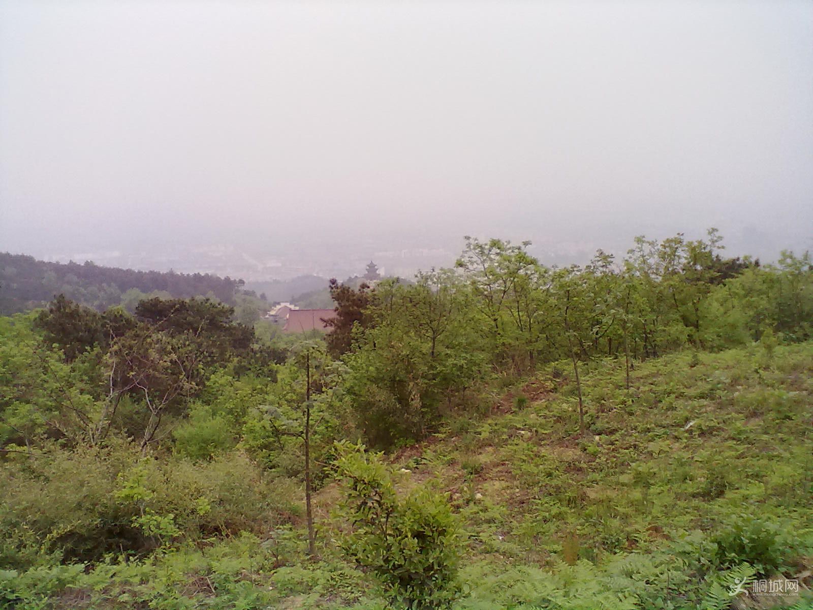 20120418273.jpg