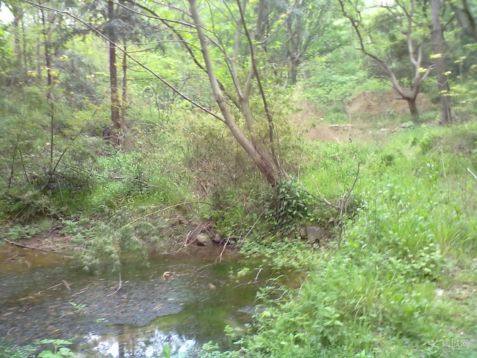 20120418265.jpg