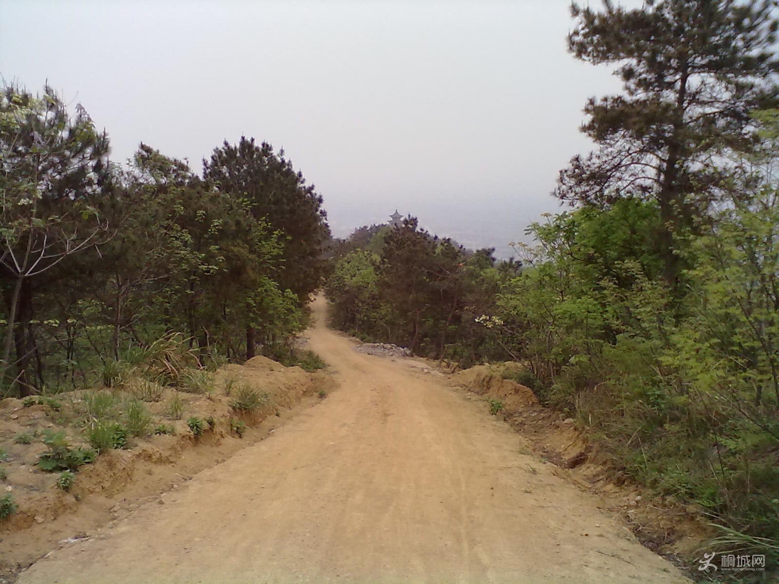 20120418267.jpg