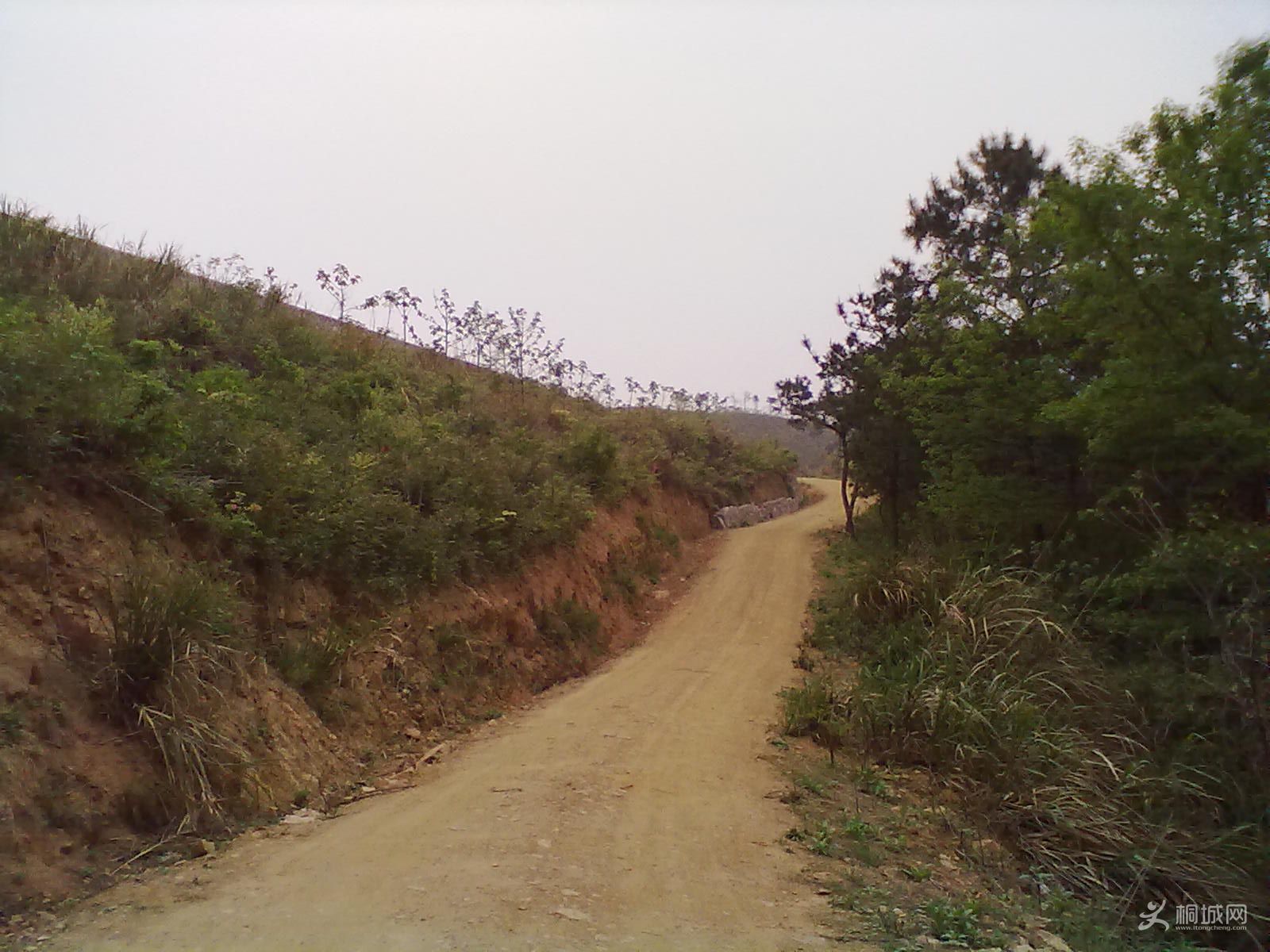 20120418269.jpg