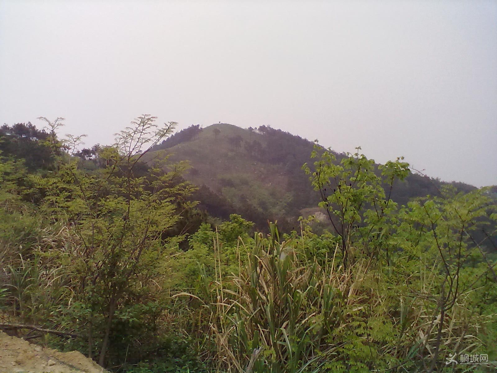 20120418270.jpg