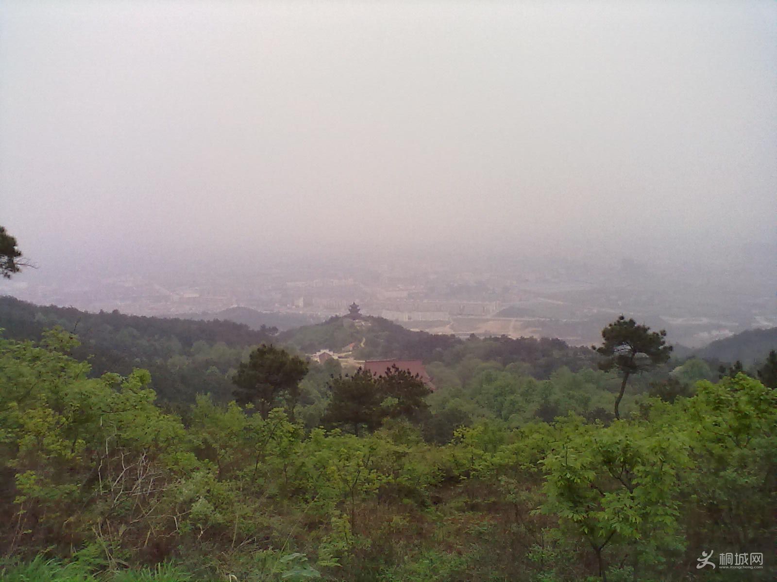 20120418275.jpg