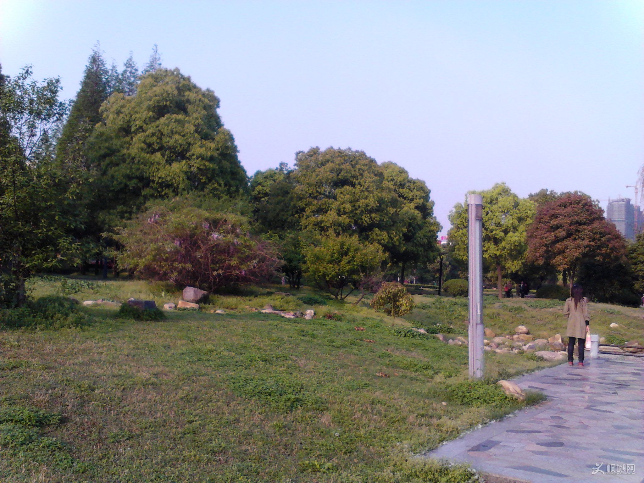 Camera_20120415_072513.jpg