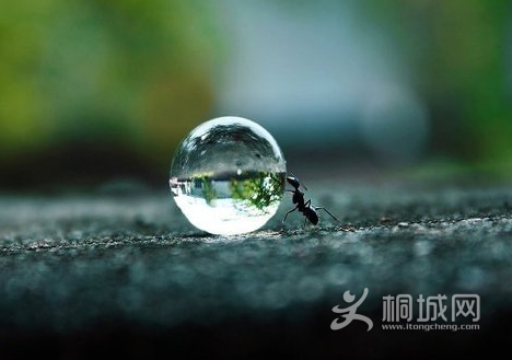 QQͼ20120428052558.png