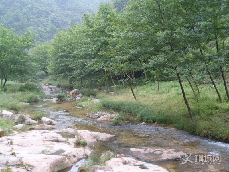 sam_0387_.jpg