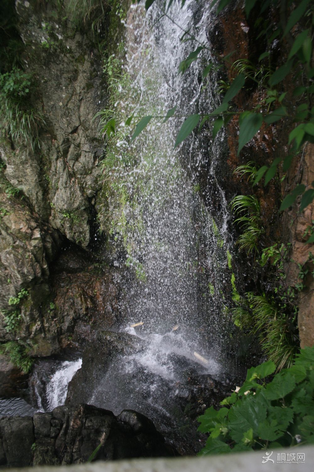 IMG_1436.JPG