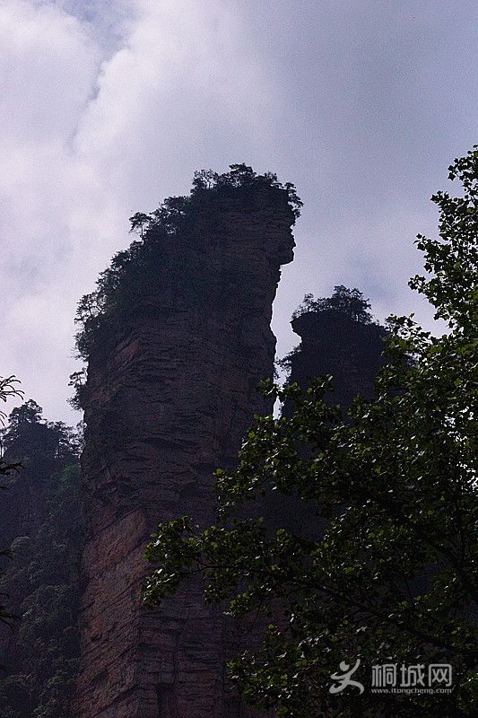 Ƭ 1003_.jpg