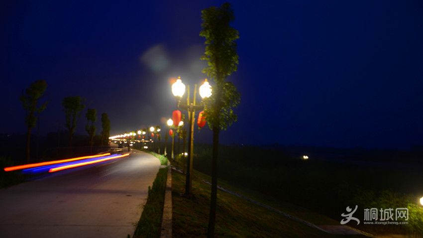  01501__.jpg