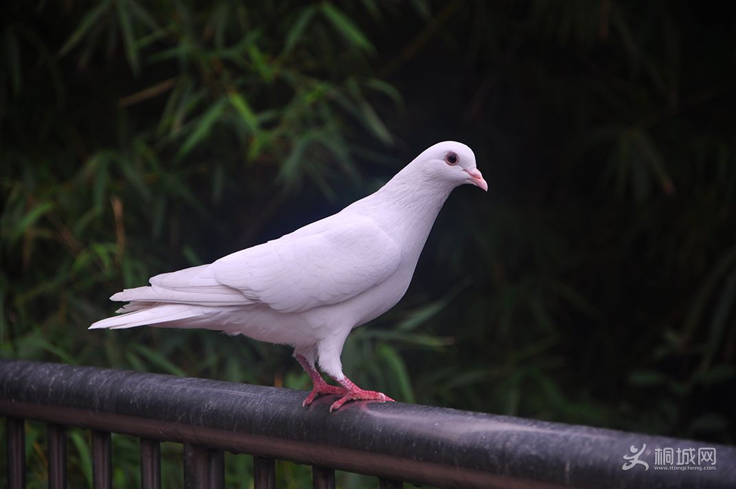 DSC_0125.jpg