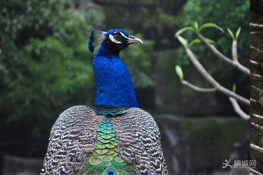 DSC_0169.jpg