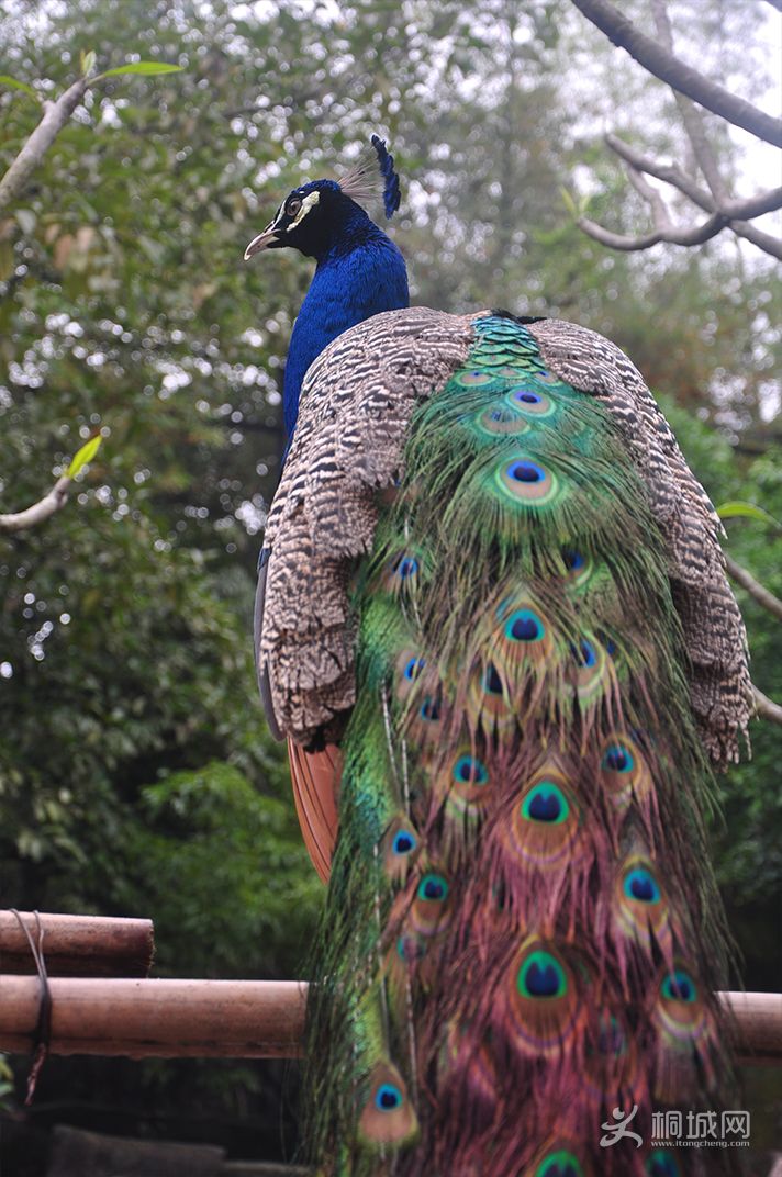 DSC_0174.jpg