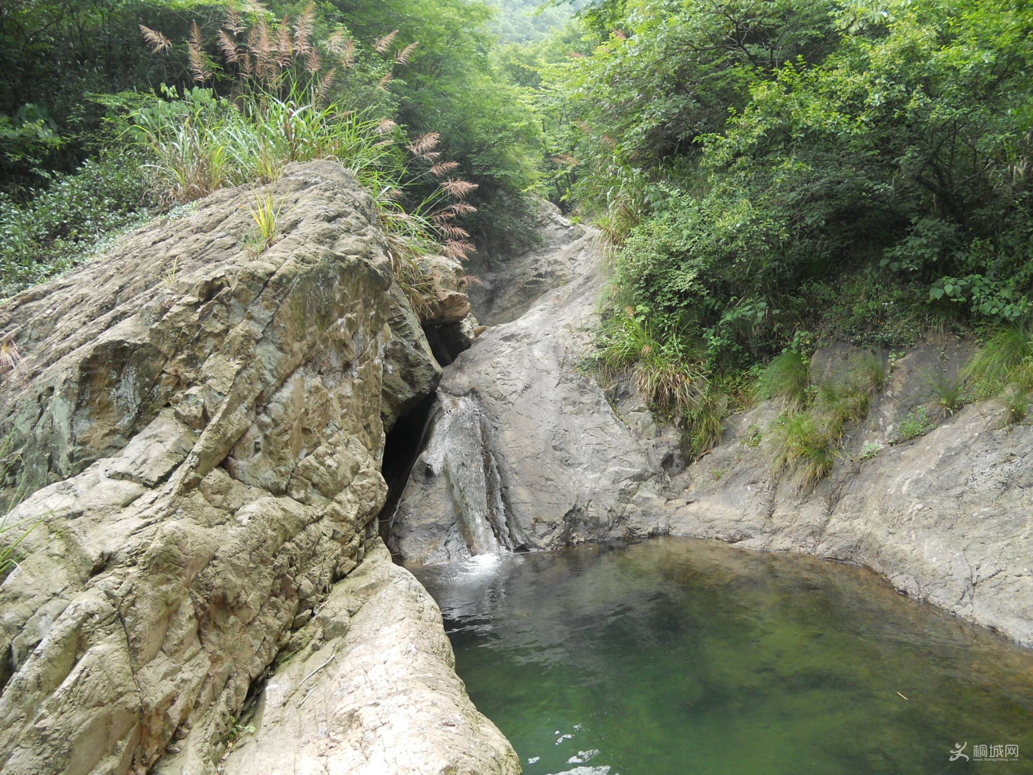 DSCN0527.jpg