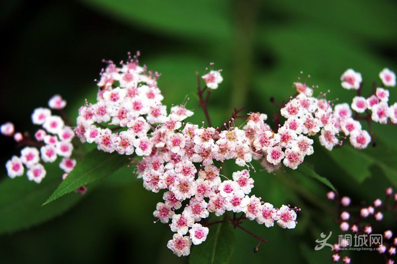 DSC04841_.jpg