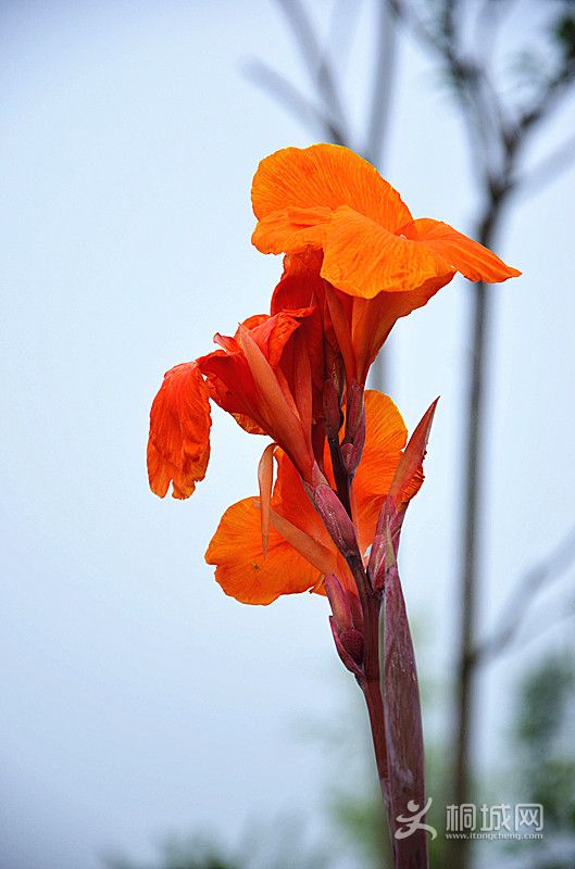 DSC_0770_.jpg