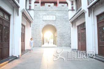 IMG_6600.jpg