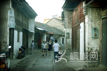 IMG_6603.jpg