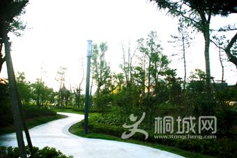 IMG_6606.jpg
