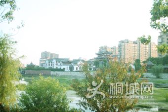 IMG_6608.jpg