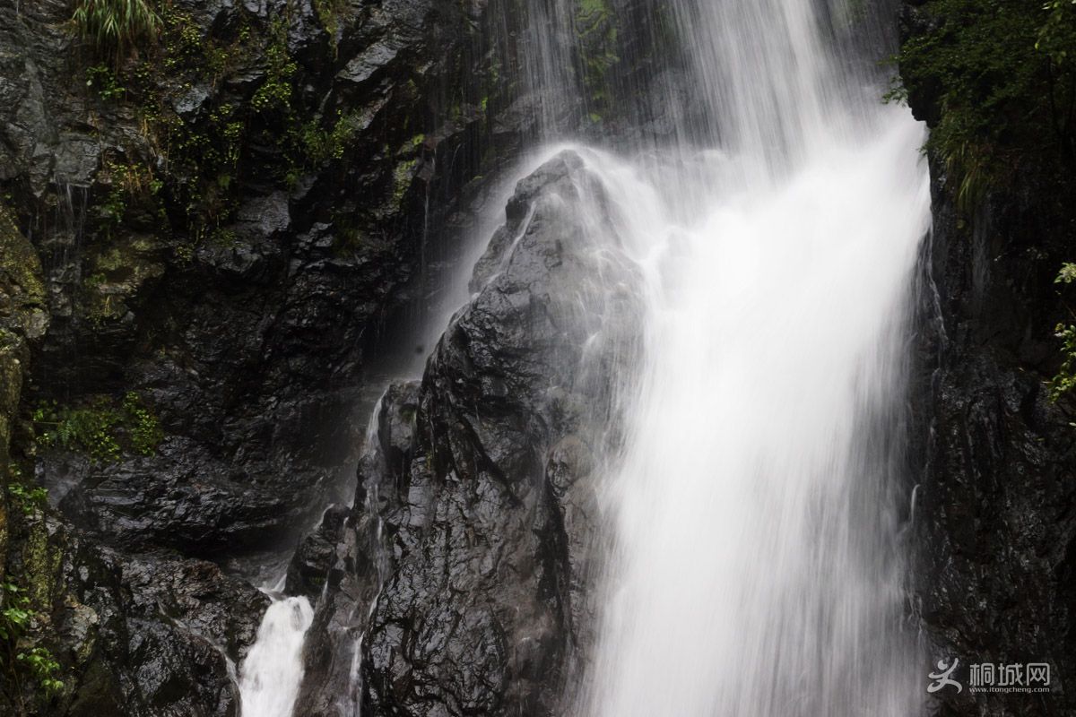 _DSC70570.jpg