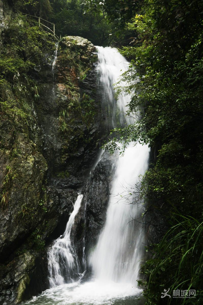 _DSC70550.jpg