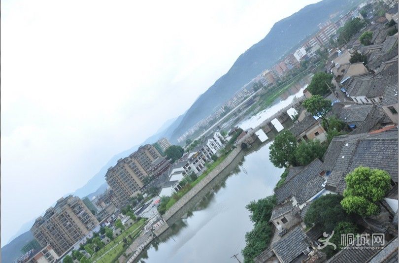 563.jpg