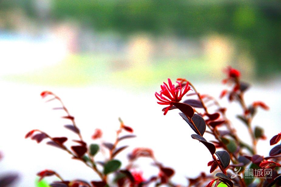 f/7,1/60iso2001356ߴǰ