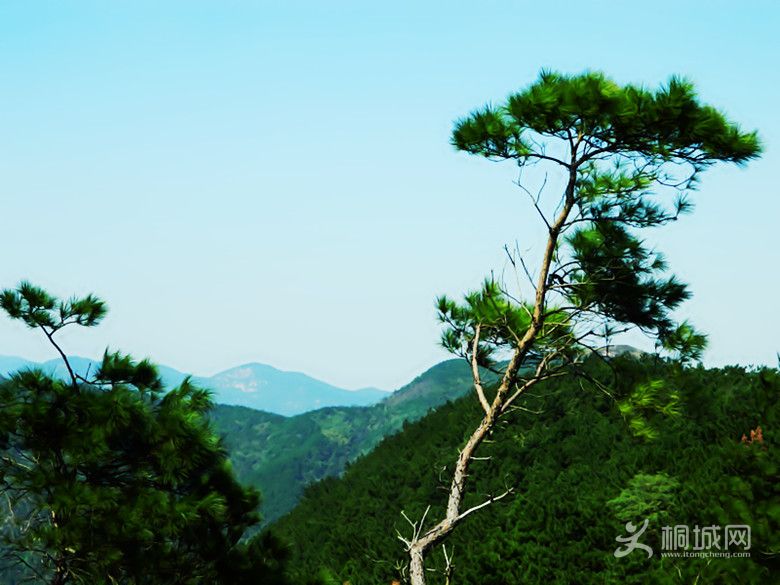 DSCN0072_.jpg