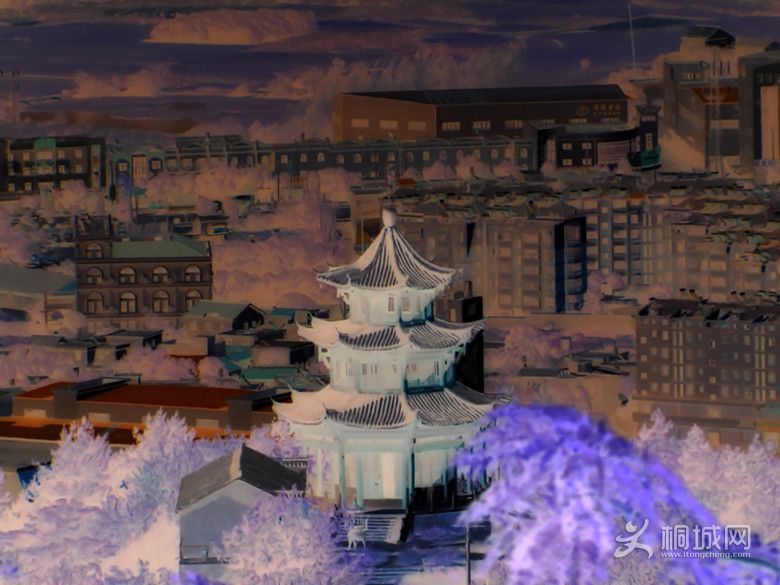 DSCN0078_.jpg