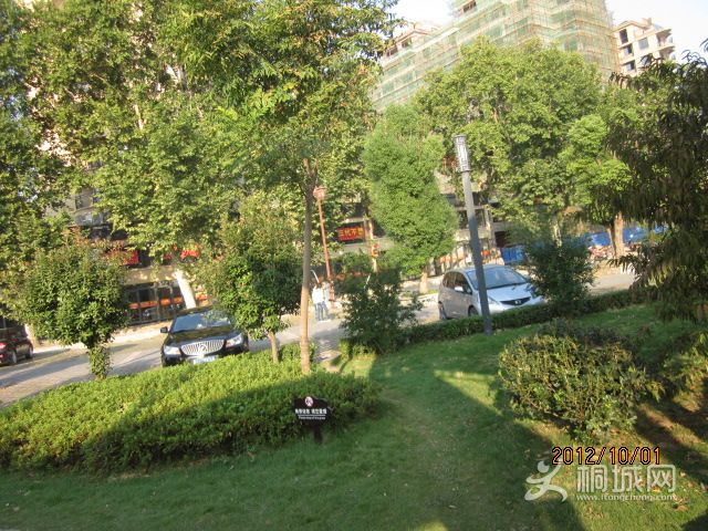 IMG_1310.JPG