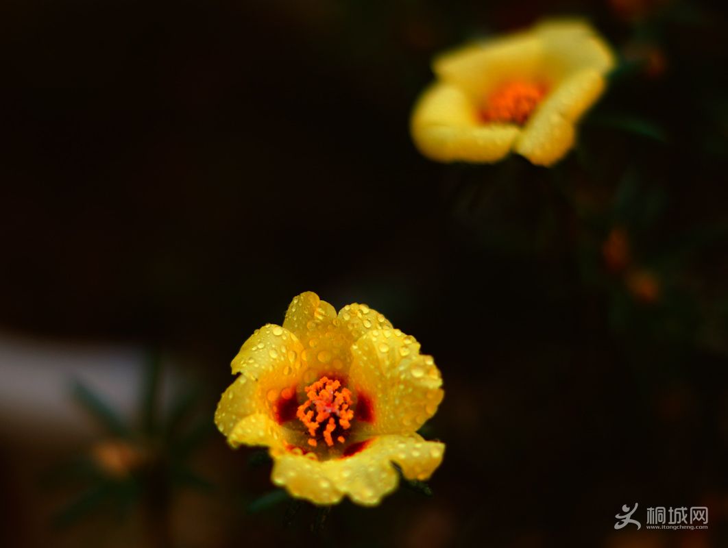 DSC030020.jpg