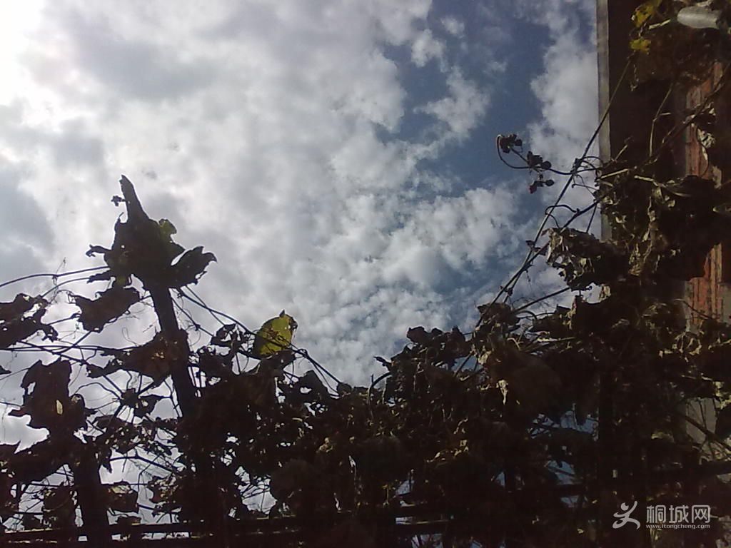 20121019039.jpg