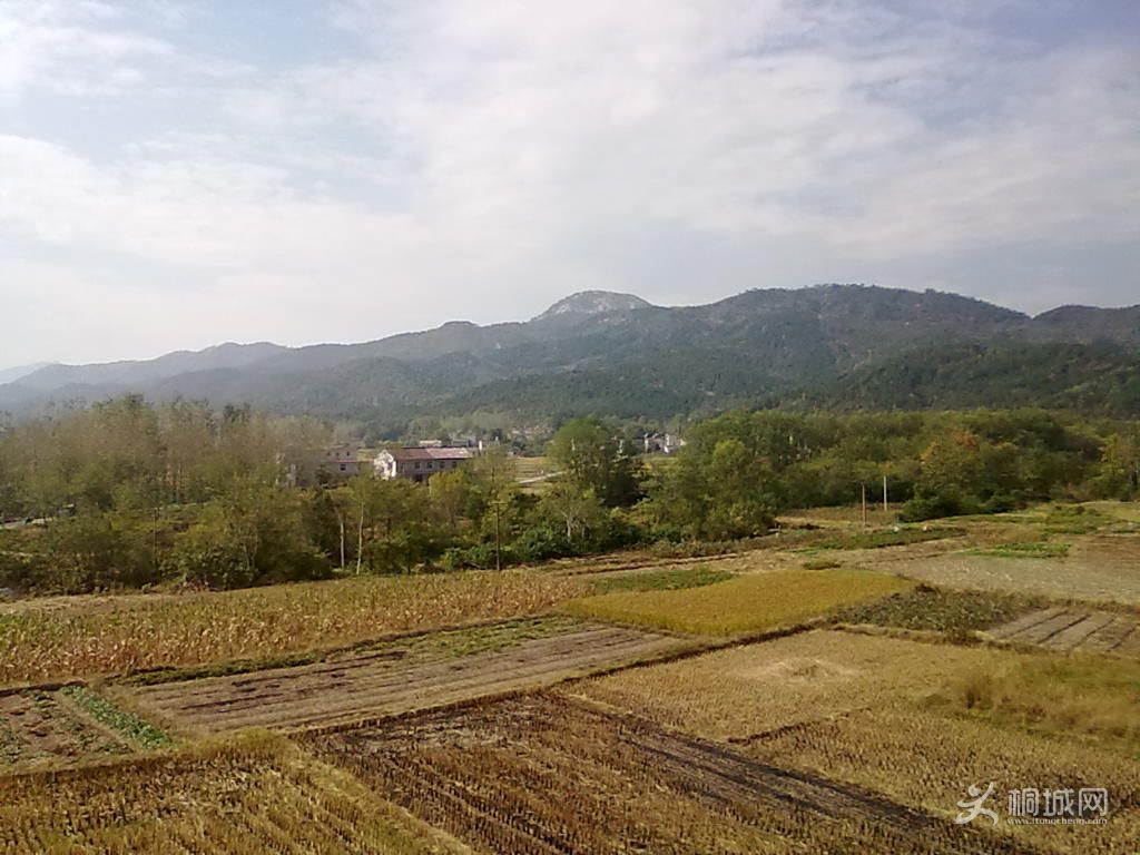20121019040.jpg