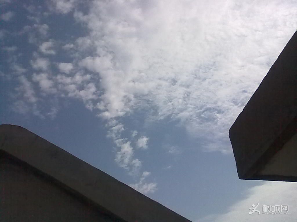 20121019041.jpg