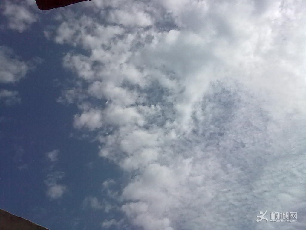 20121019042.jpg