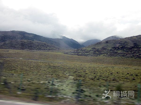 IMG_3006.jpg
