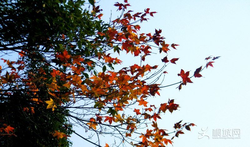 DSCF2268.jpg