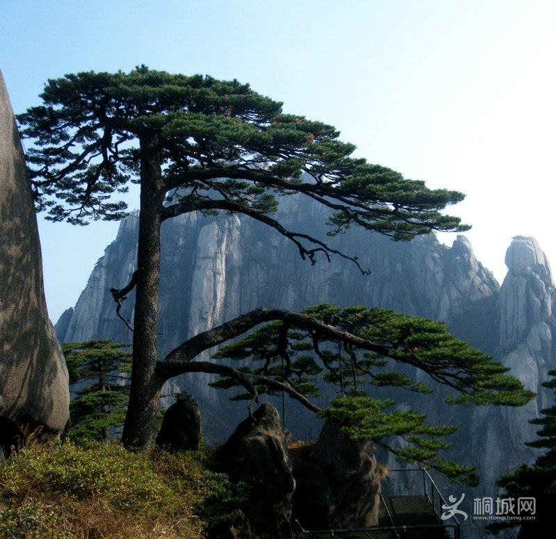 DSCF2220.jpg