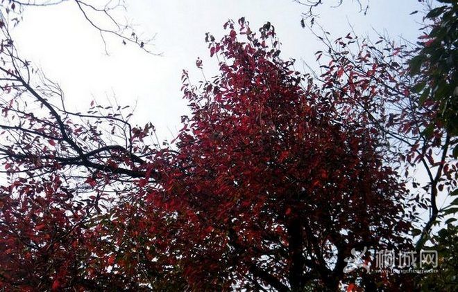 DSCF2267.jpg